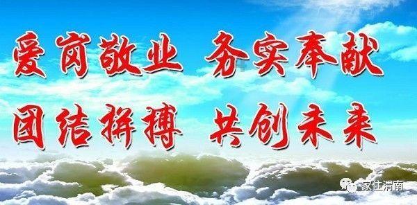 植物大战僵尸反击篇